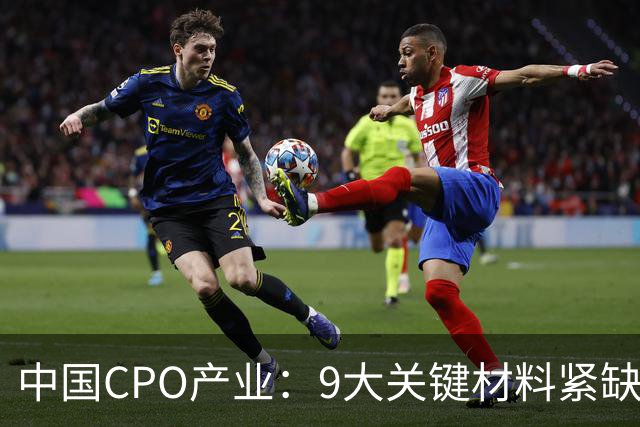中国CPO产业：9大关键材料紧缺程度及卡脖子等级